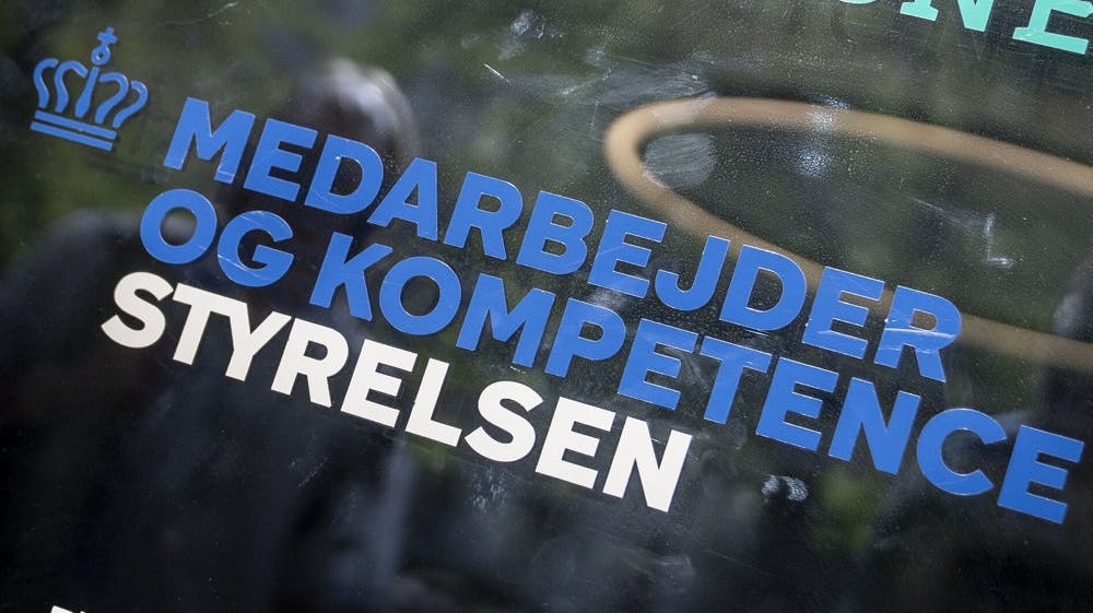 Tallet er det højeste i de seneste ti år og 29 procent flere end i 2021.