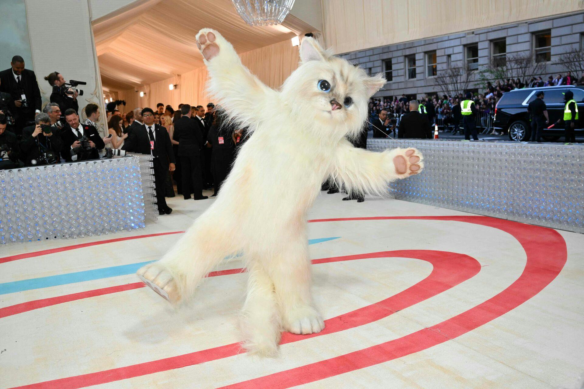 Jared Leto klædte sig ud som kat til årets Met Gala.