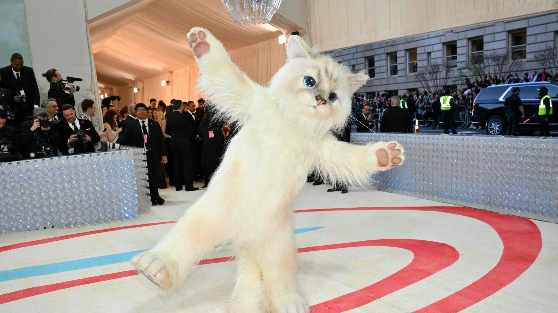 Jared Leto klædte sig ud som kat til årets Met Gala.