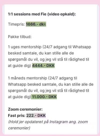 Det er ikke helt billigt at blive guidet af Fie.