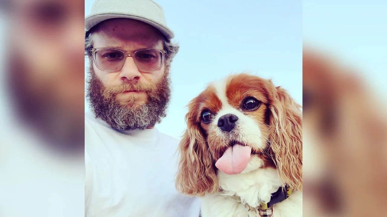 Seth Rogens elskede hund er død.