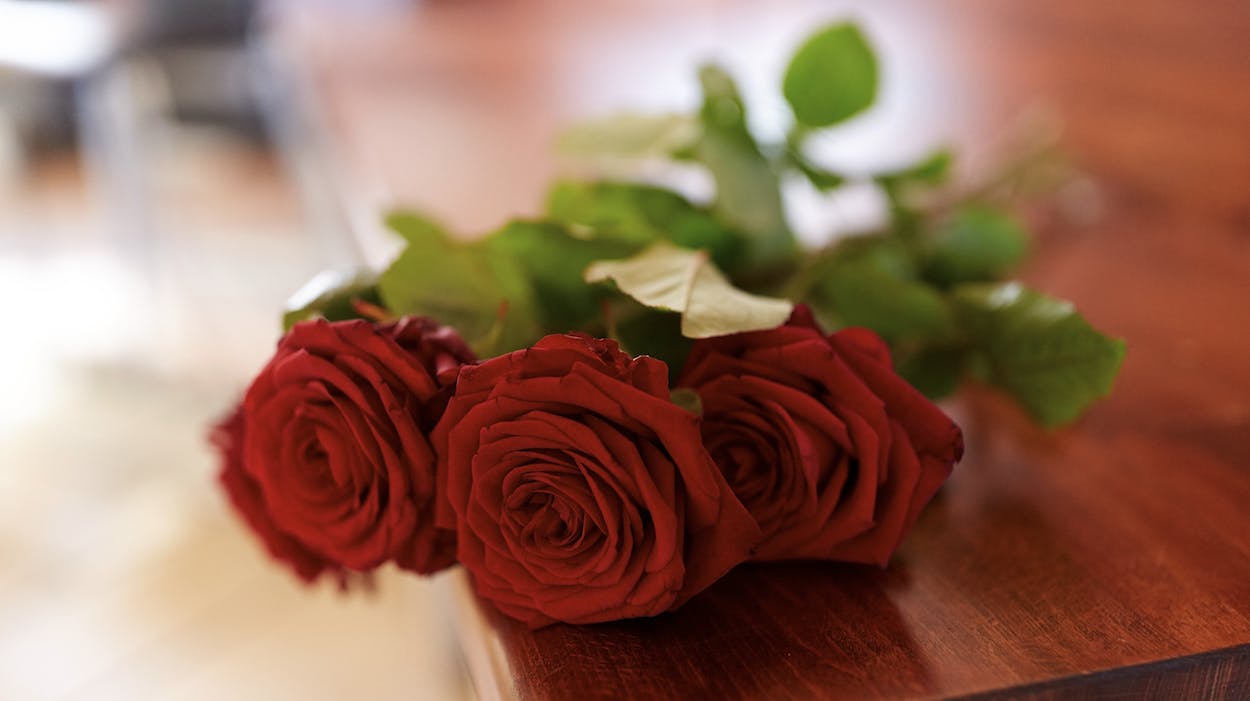 En bedstemor forsøgte uden held at redde sit barnebarn, da familiens hund angreb.