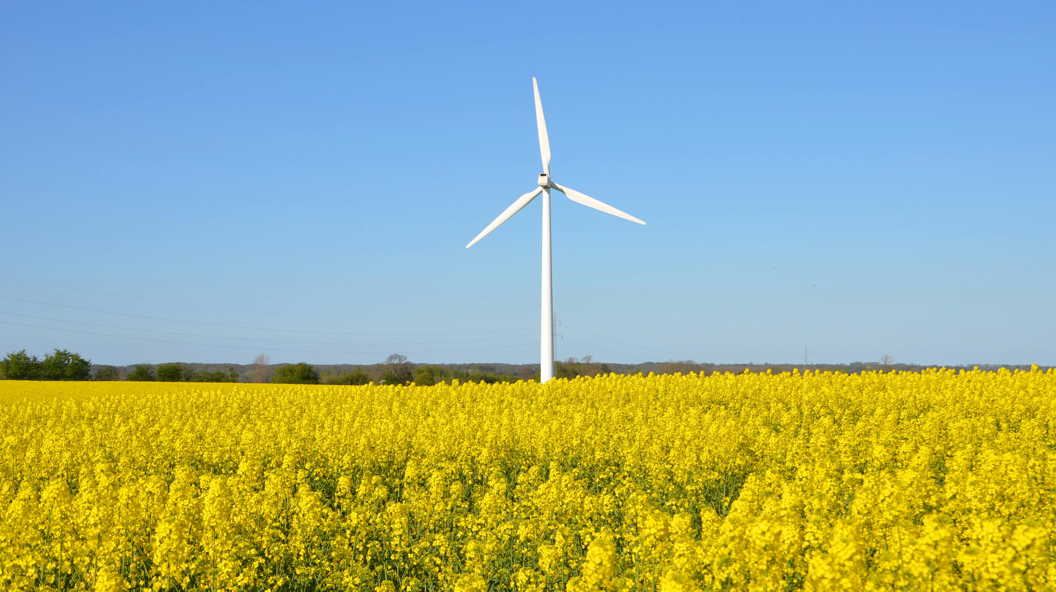 I weekenden vender sommervejret tilbage.