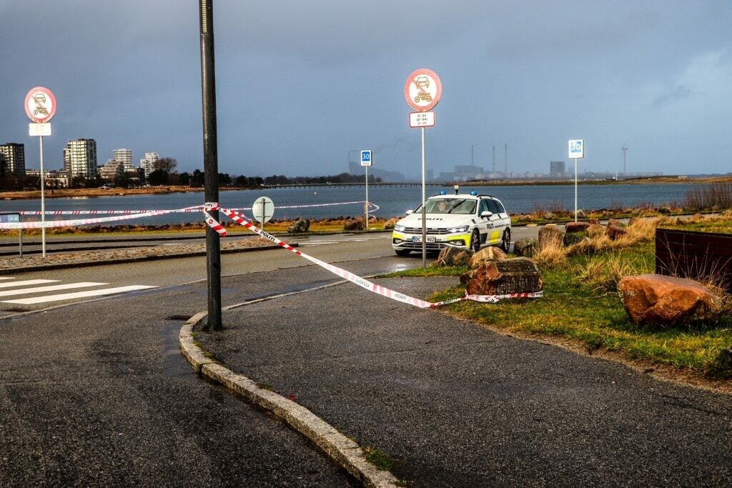 Politiet rykkede 3. januar sidste år ud til Amager Strand, hvor de fandt en kvinde død i en bil