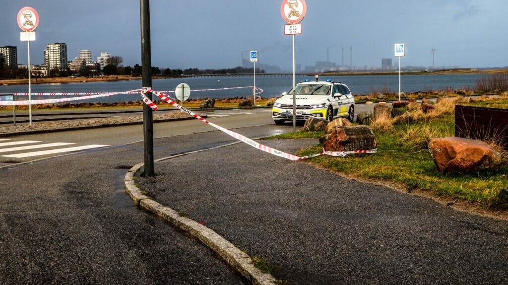 Politiet rykkede 3. januar sidste år ud til Amager Strand, hvor de fandt en kvinde død i en bil