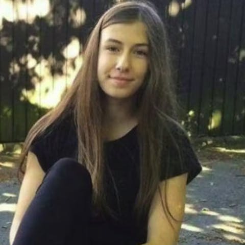 17-årige Emilie Meng forsvandt efter en bytur i juli 2016, og hendes lig blev fundet et halvt år senere i en sø.
