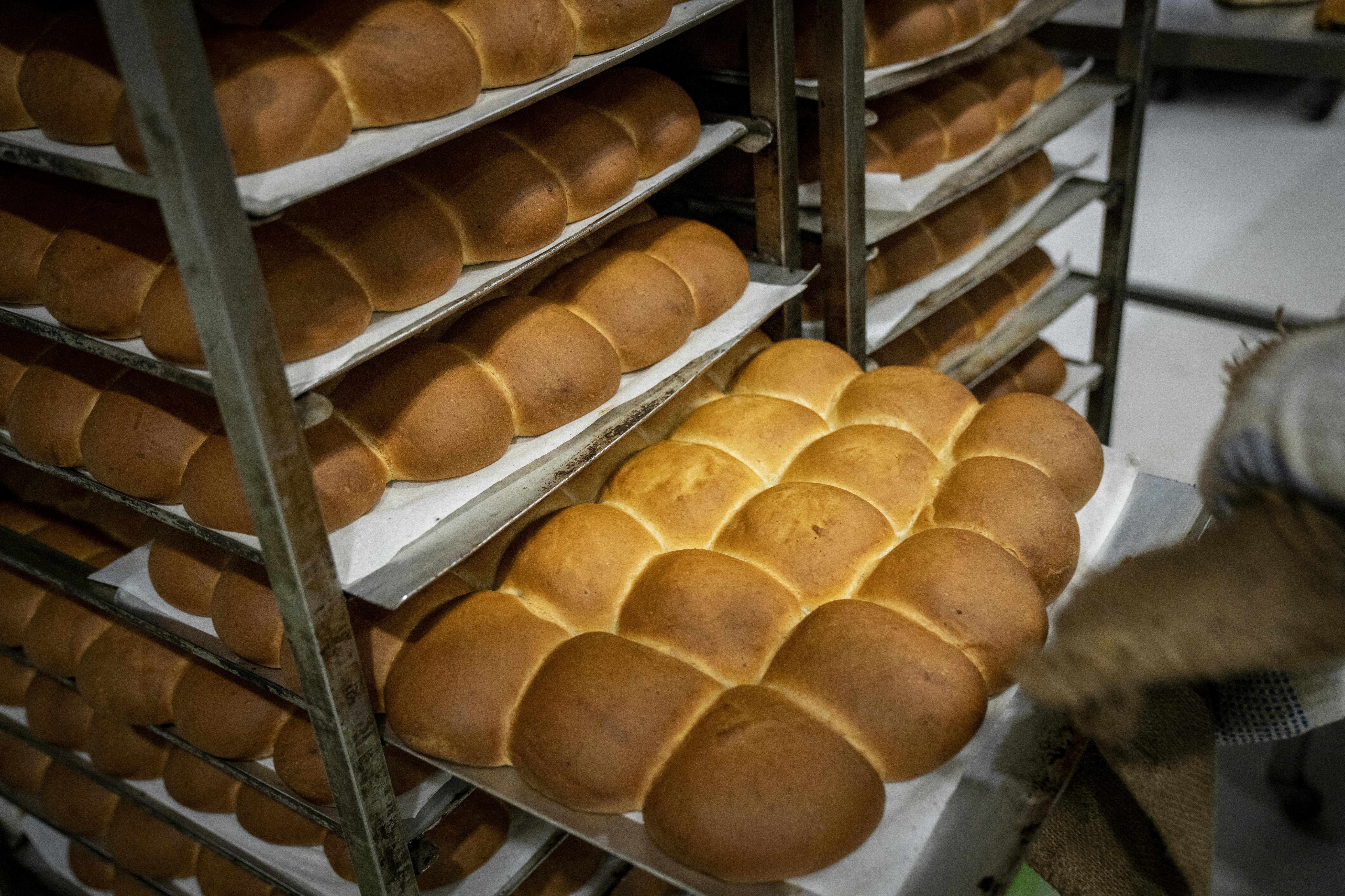 Mon der også bliver serveret hveder til den store kursusdag?