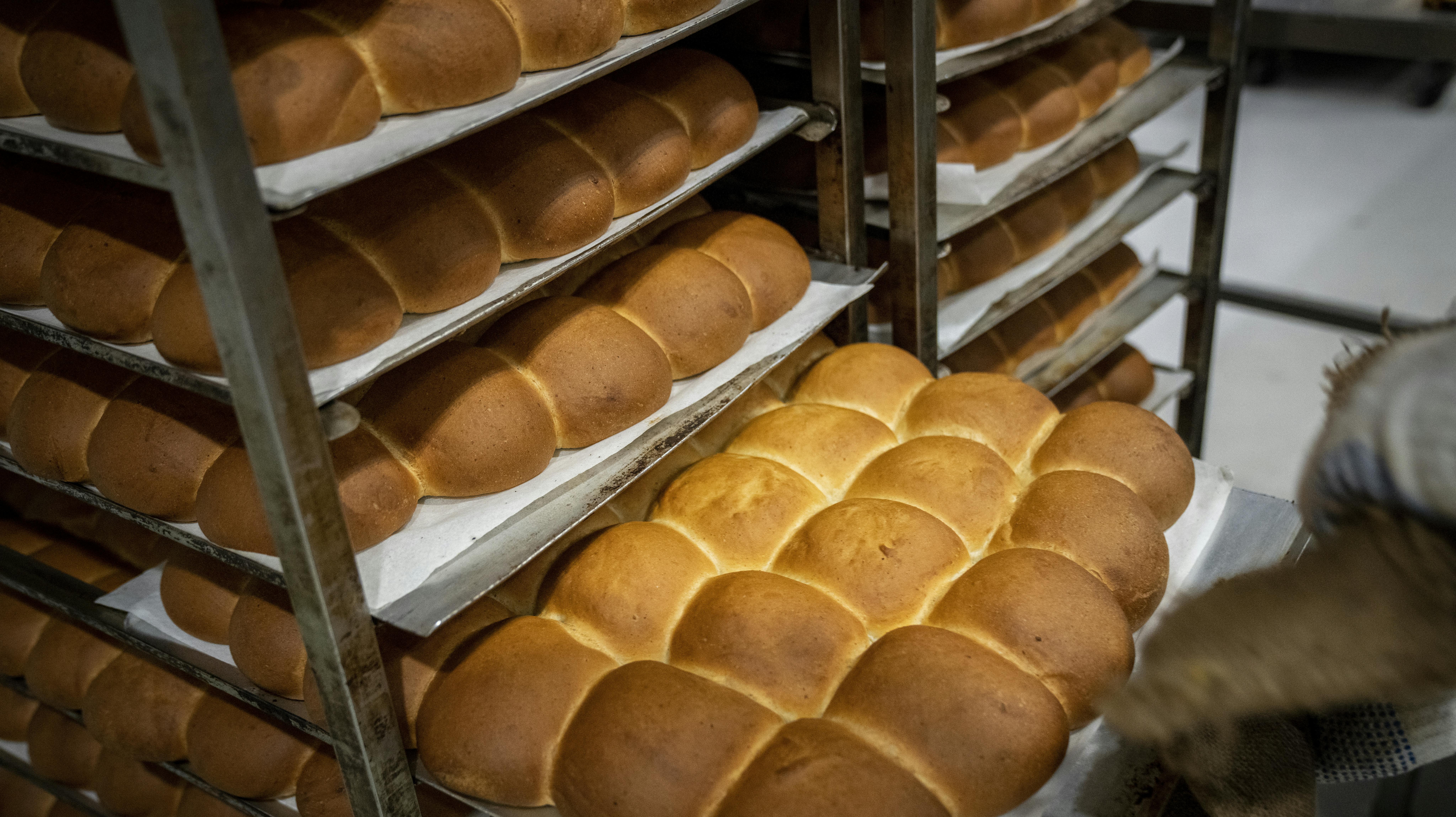 Mon der også bliver serveret hveder til den store kursusdag?