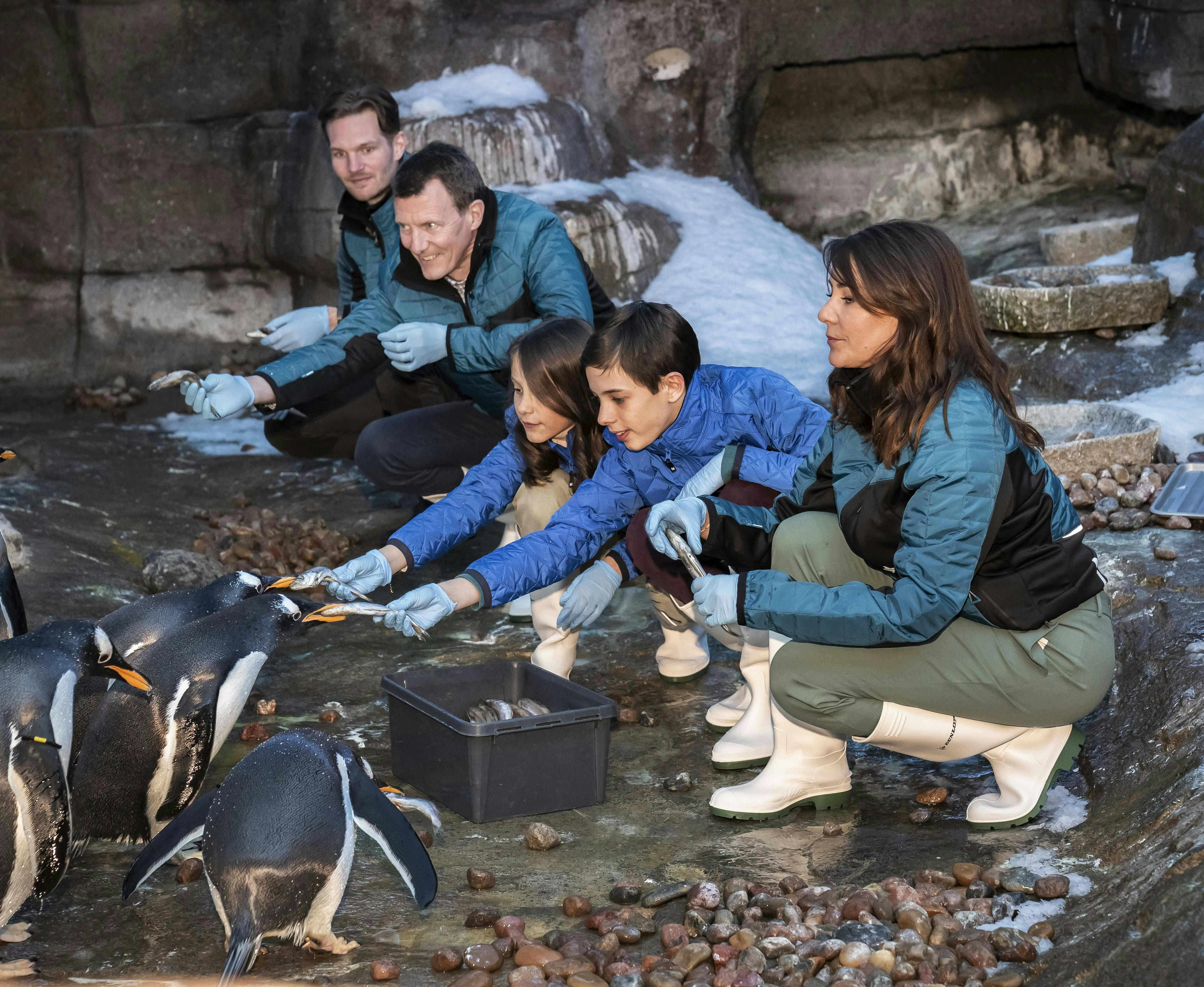 Athena og Henrik hyggede sig gevaldigt med at fodre pingviner.
