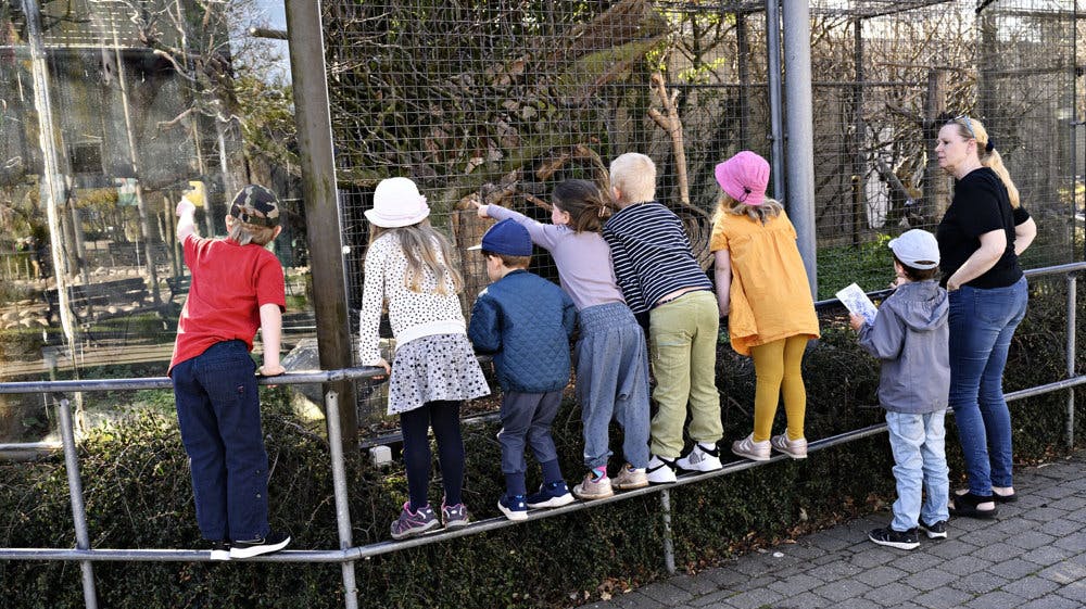 Flere familier svarer i undersøgelsen, at de sidste sommer heller ikke havde råd til enkeltaktiviteter eller dagsture i for eksempel Zoologisk Have. 