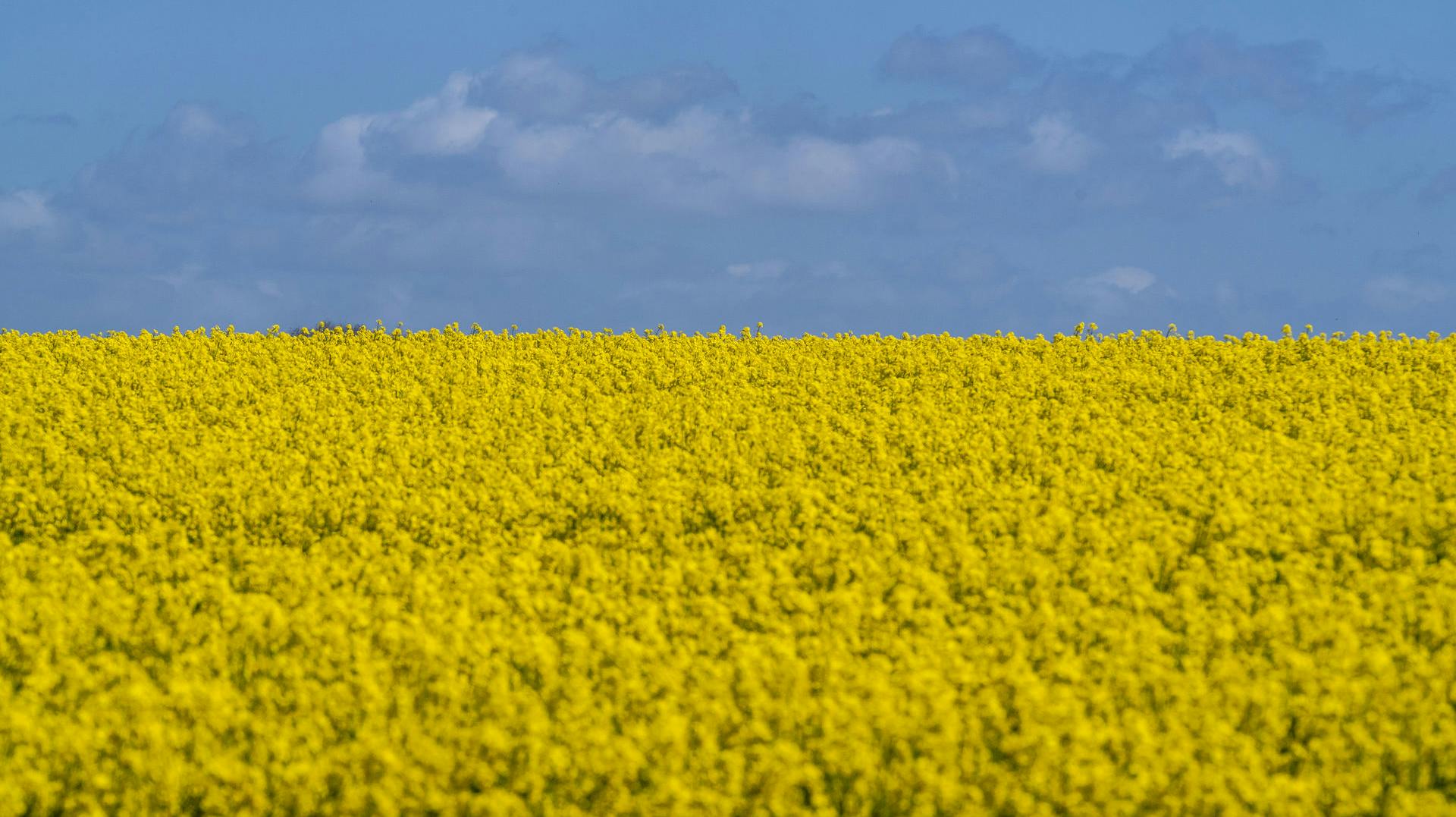 Det bliver varmt de næste par dage.