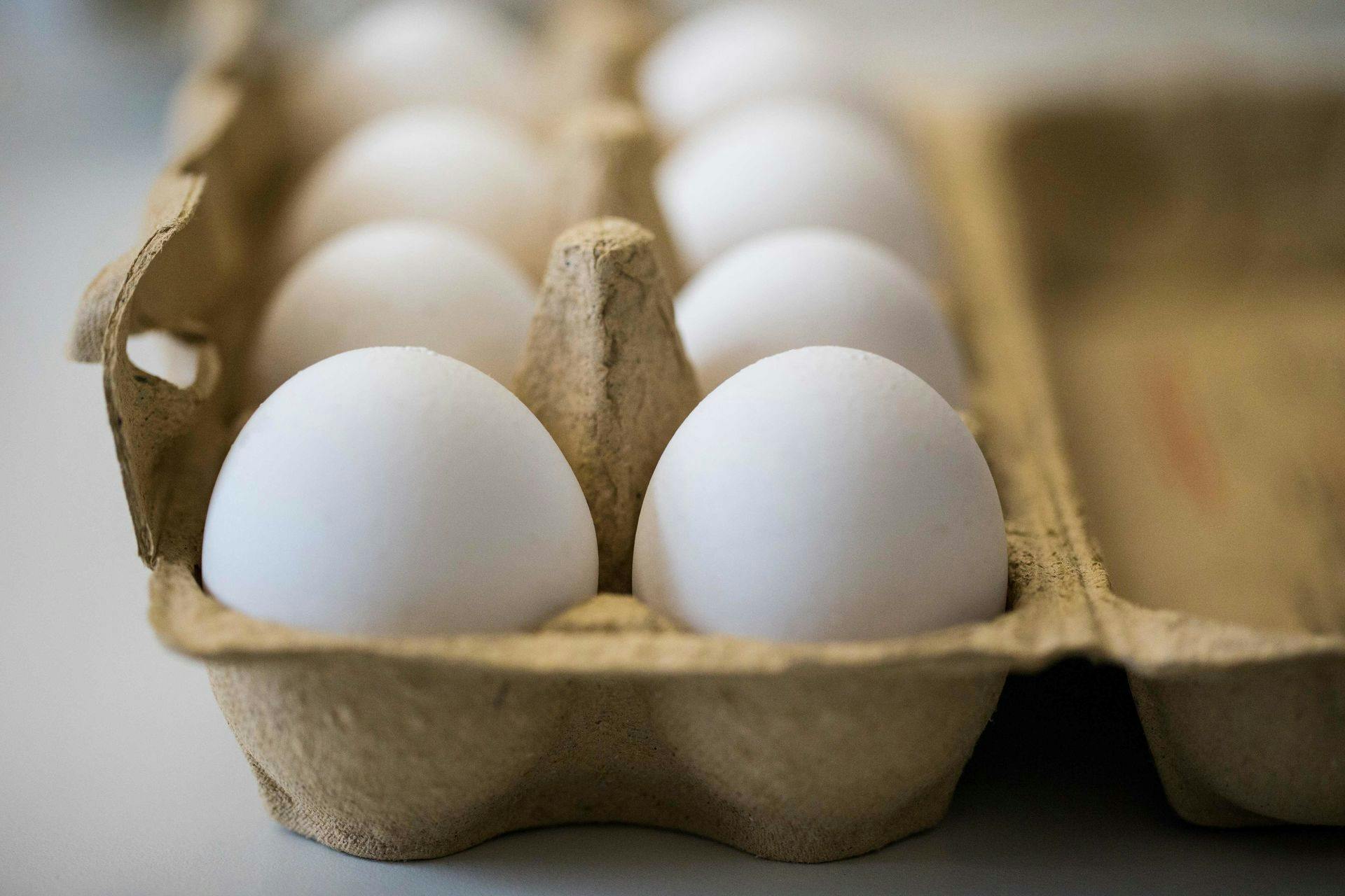 Fødevareminister undersøge: Er det med æg på køl? | SE og HØR