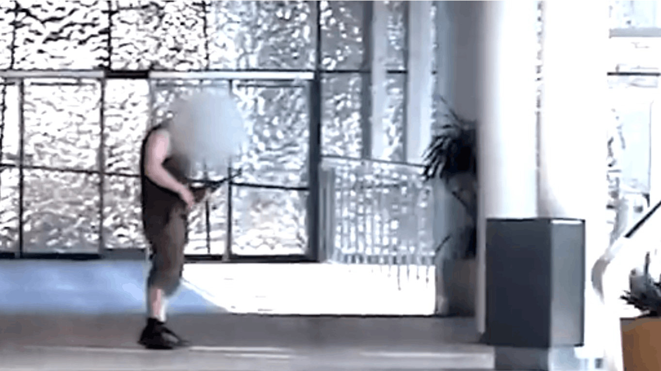 Billeder inde fra Field's viser, hvordan den i dag 23-årige mand jagter folk rundt i shoppingcenteret, bevæbnet med en riffel.