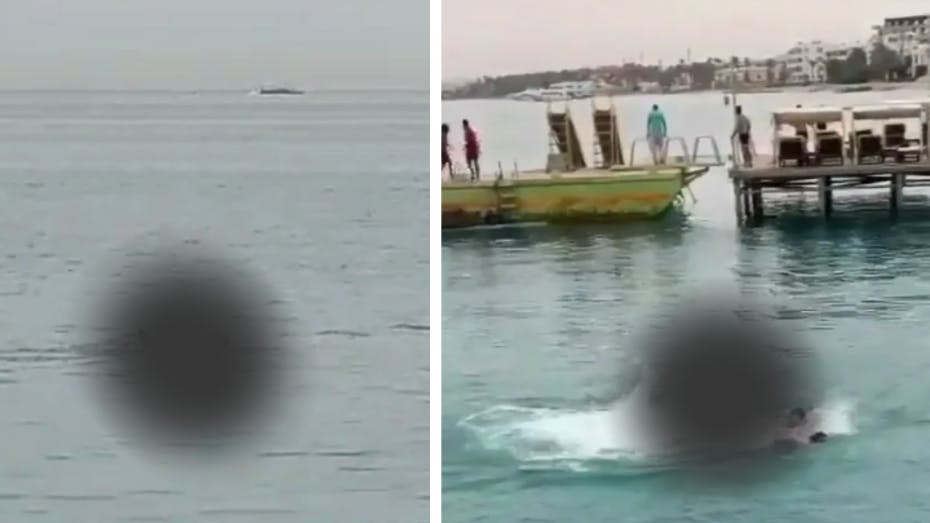 En 23-årig turist er død efter et hajangreb i Egypten.