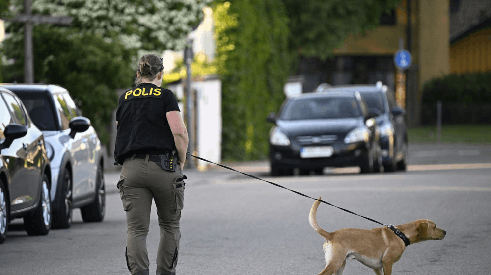 En pige blev fundet udendørs af en tilfældig forbipasserende, som anmeldte hændelsen til politiet i det sydlige Sverige omkring klokken 17 mandag.