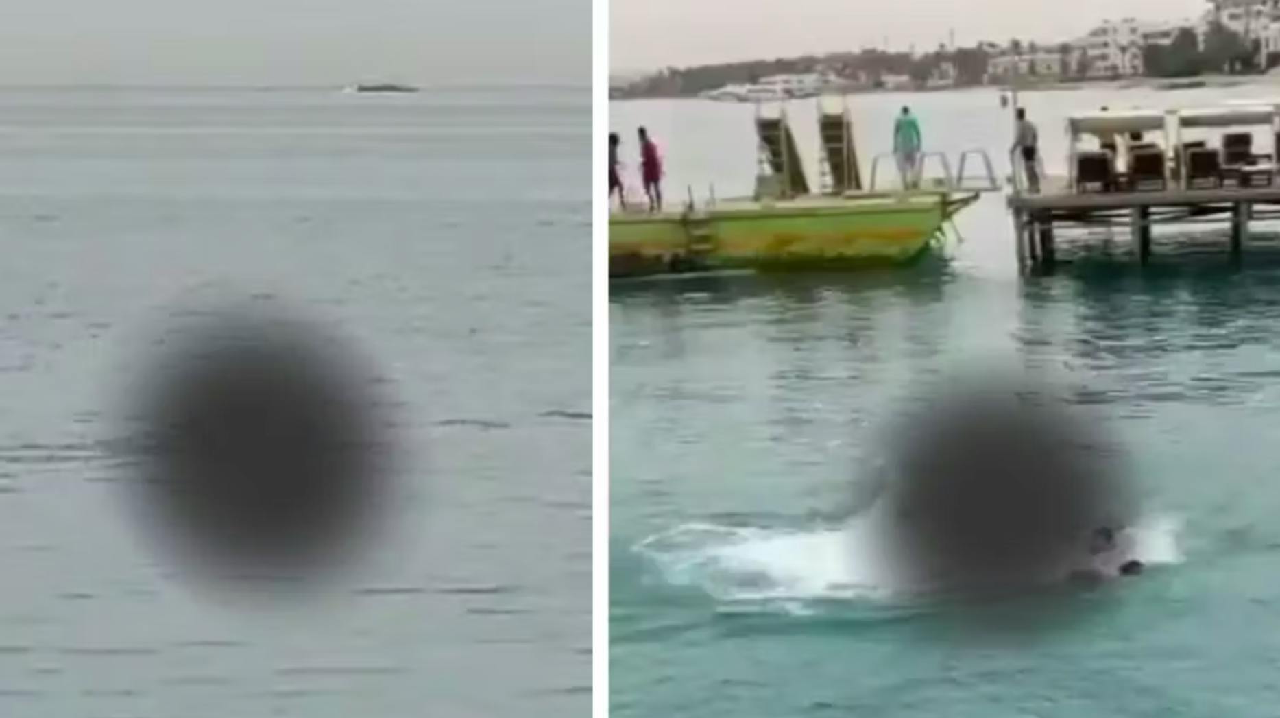 En 23-årig turist er død efter et hajangreb i Egypten.&nbsp;