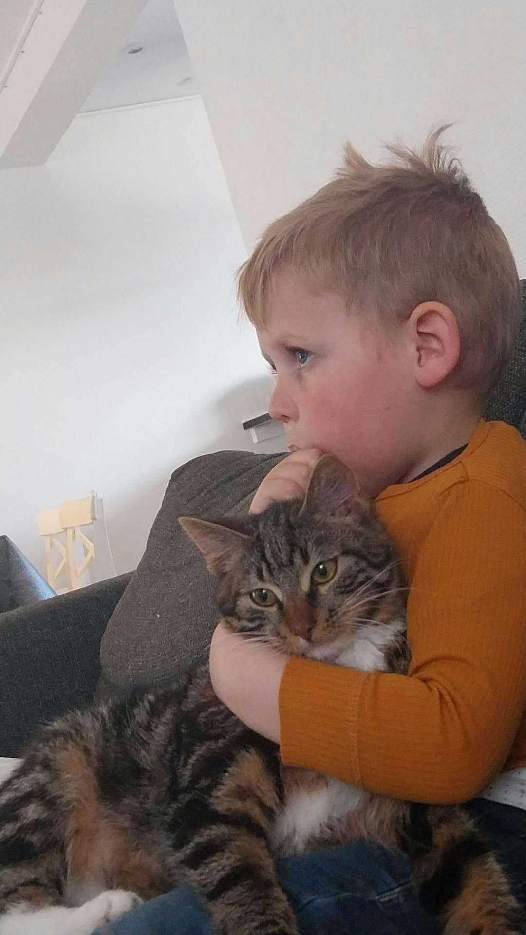 Therese har fortalt sin søn og datter, at deres kat er syg, fordi nogen har været onde mod den. 