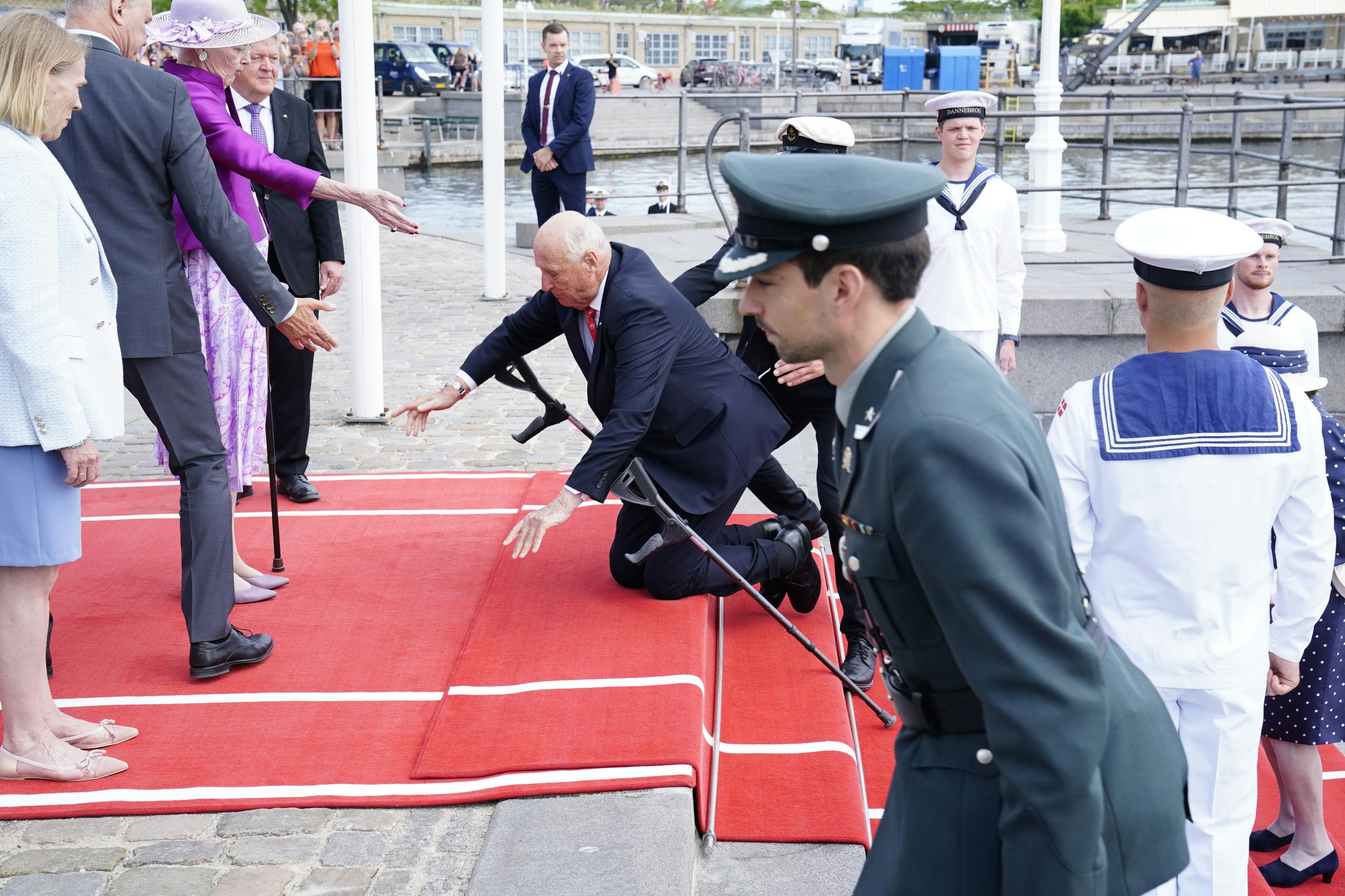 Den norske regent faldt, da han for kort tid siden ankom til København.
