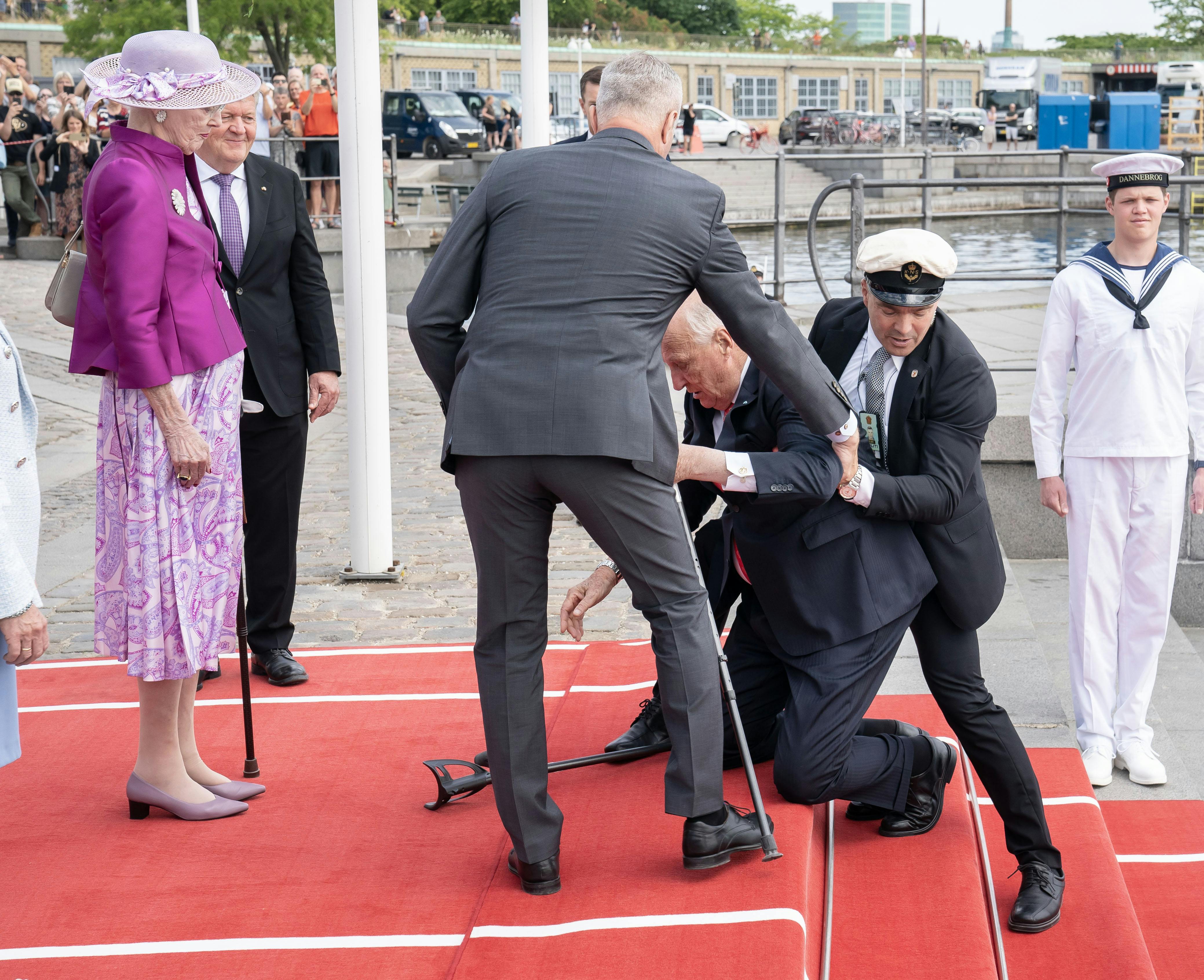 Den norske regent faldt, da han for kort tid siden ankom til København.
