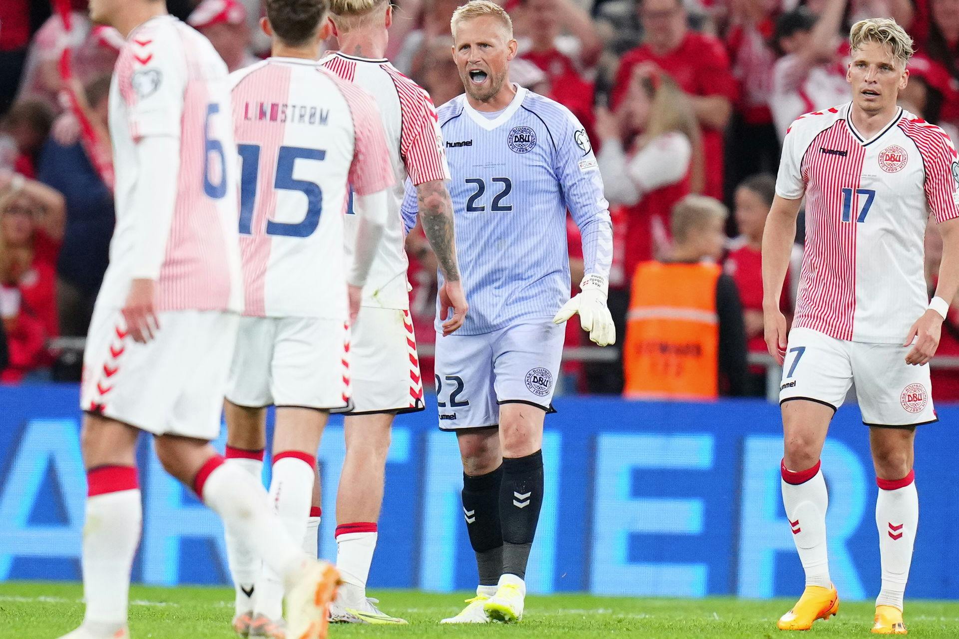 Danmark vandt 1-0 over Nordirland fredag aften.