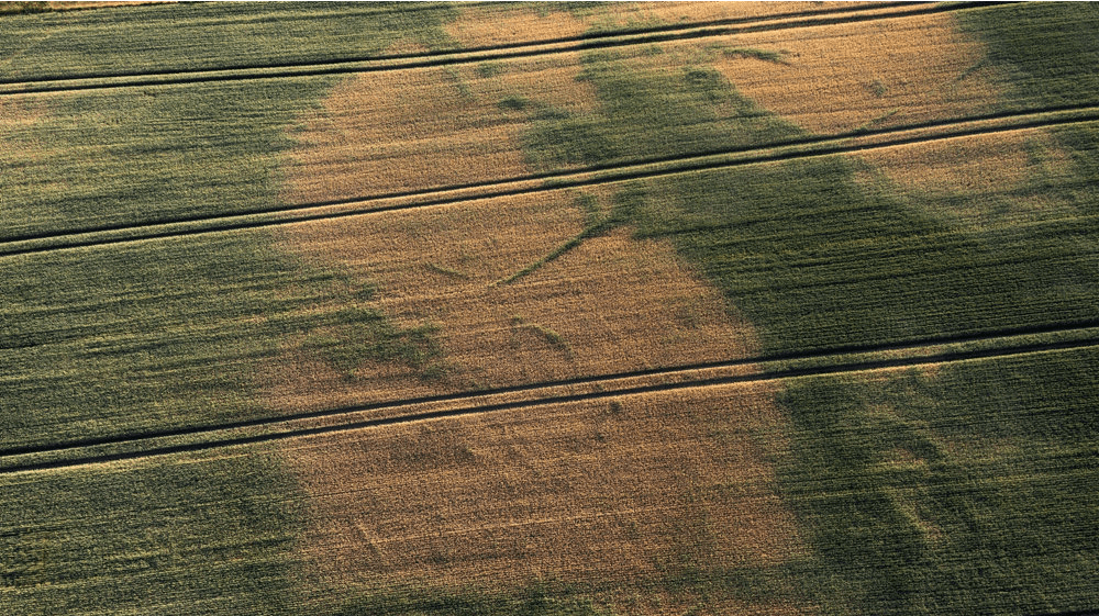 I starten af sidste uge ramte tørkeindekset det maksimale niveau.
