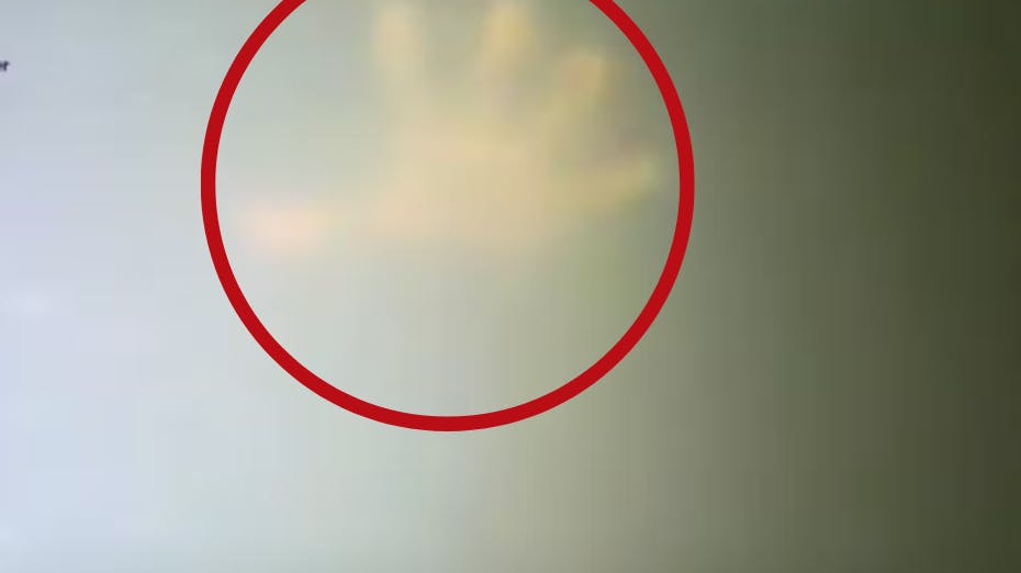 En dykker fik et chok, da hånden – han greb ud efter – pludselig rørte på sig. 