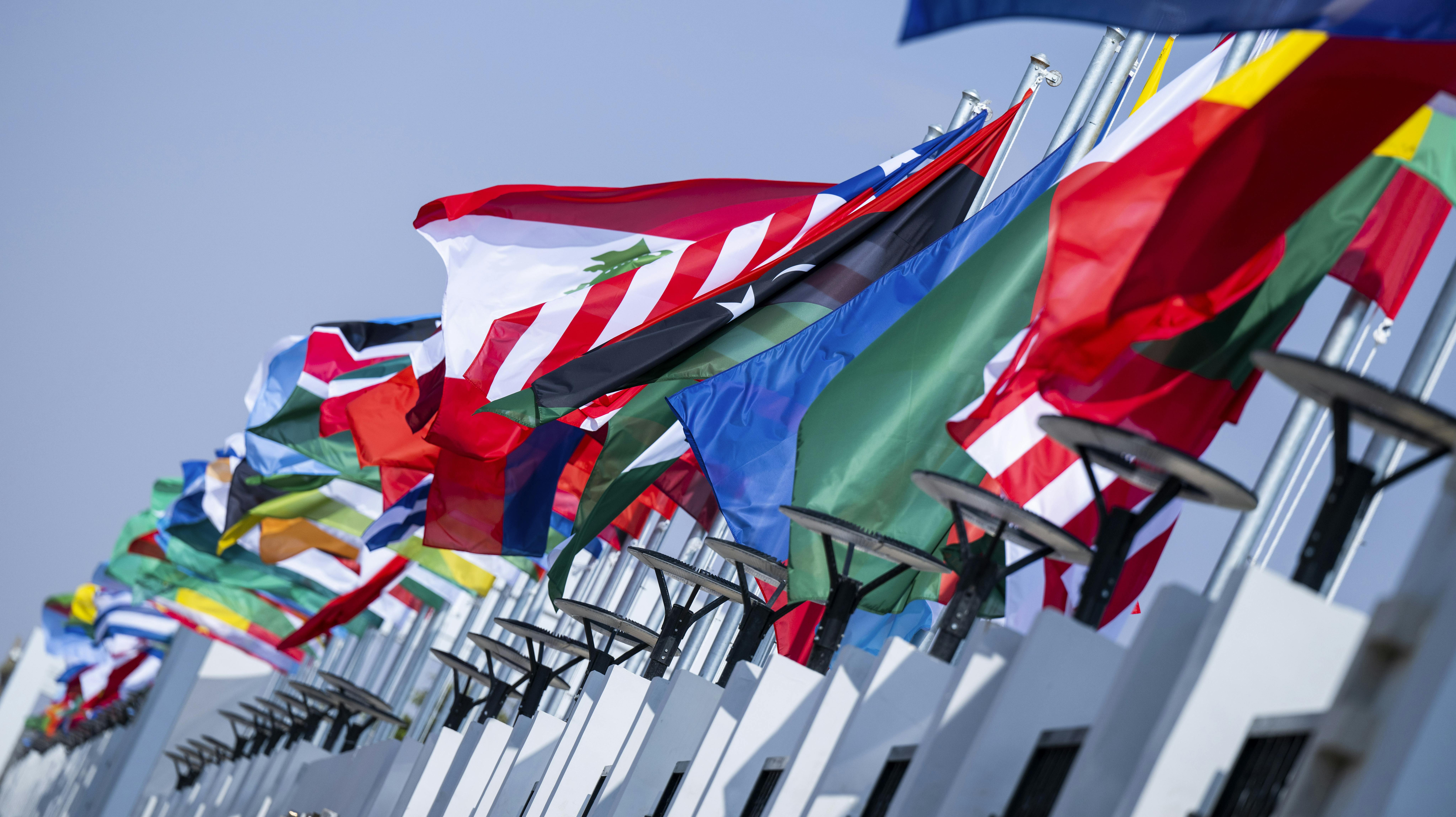 Fra på lørdag er det om at finde flaget frem – og det behøver ikke nødvendigvis at være Dannebrog.