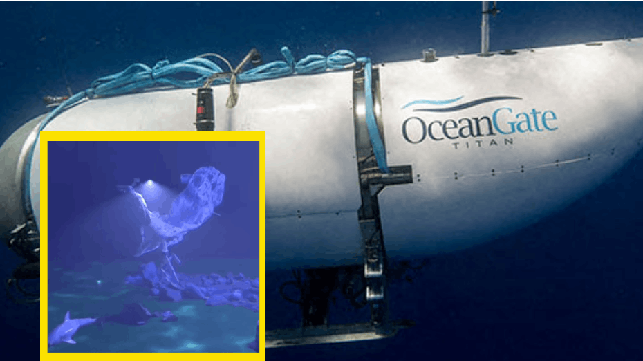 En video viser, hvordan det ser ud, når en ubåd imploderer – altså falder sammen på grund af det voldsomme tryk under havets overfalde. 