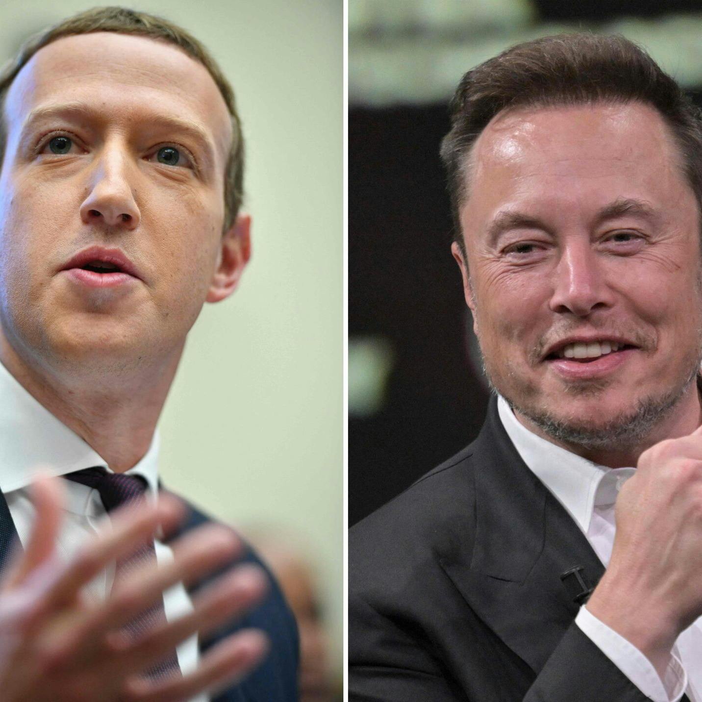 Hvem vil du lægge dine penge på?