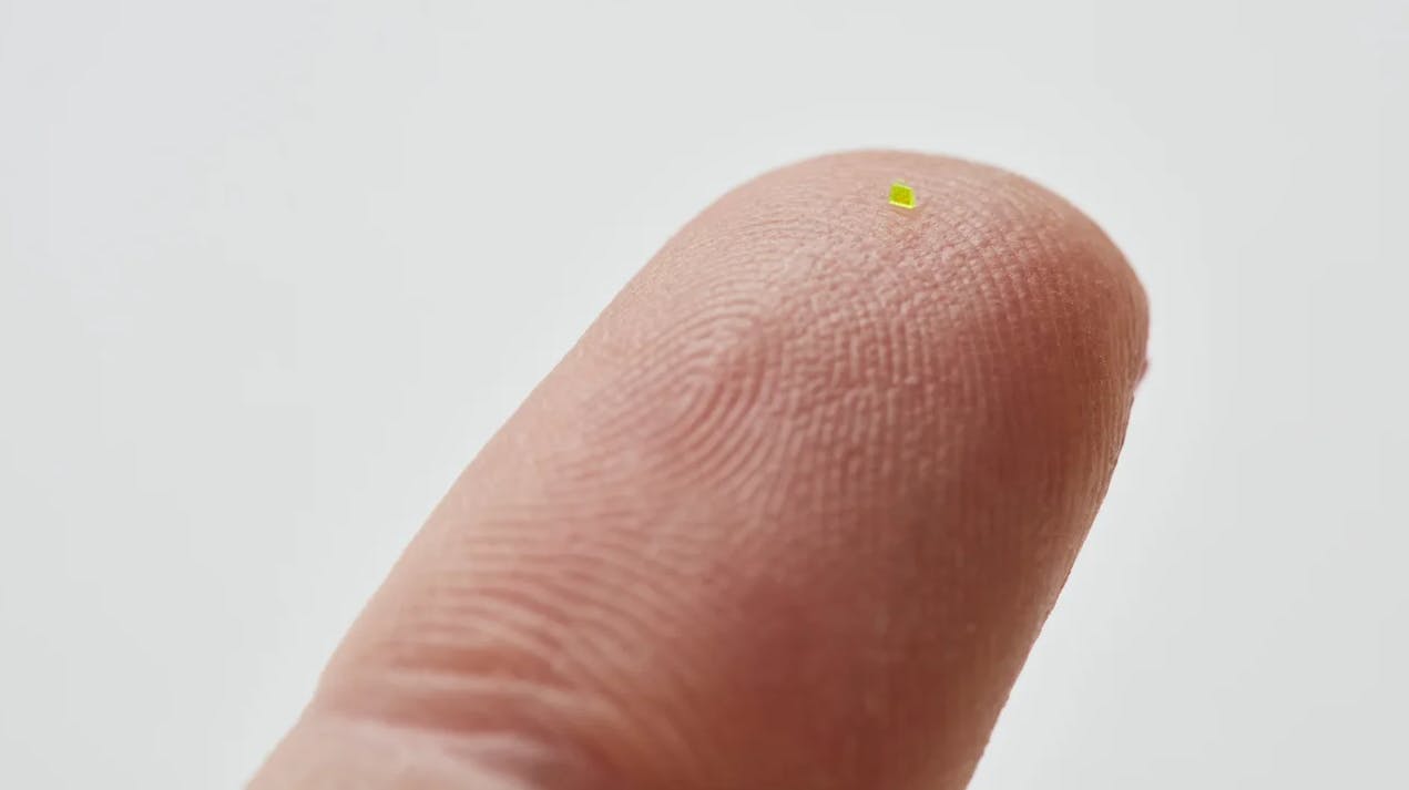 Var det noget med en lille Louis Vuitton-taske?