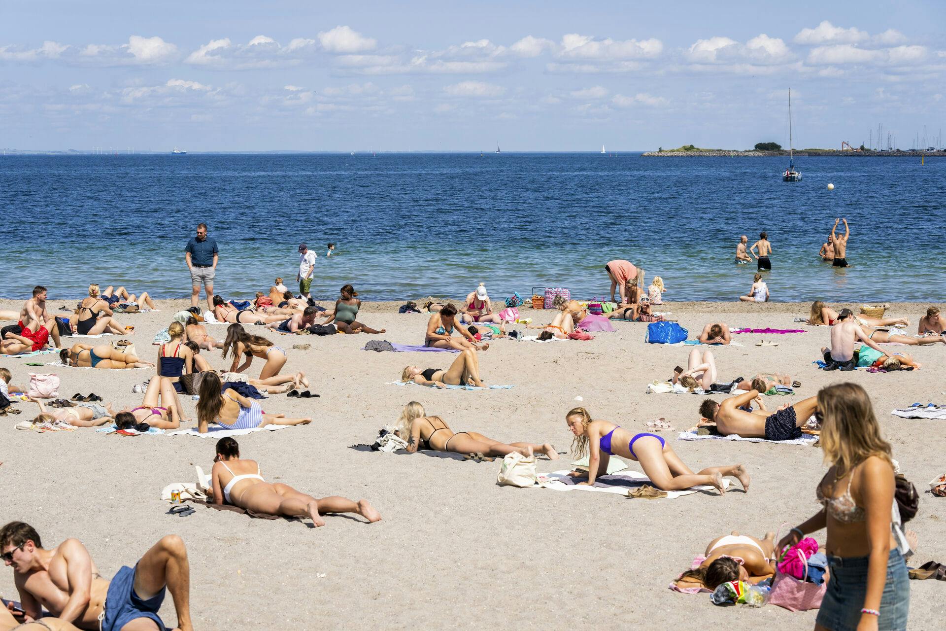 Der er lort i vandet&nbsp;på Sønderstrand på Rømø. Dette billede stammer dog ikke fra den strand.