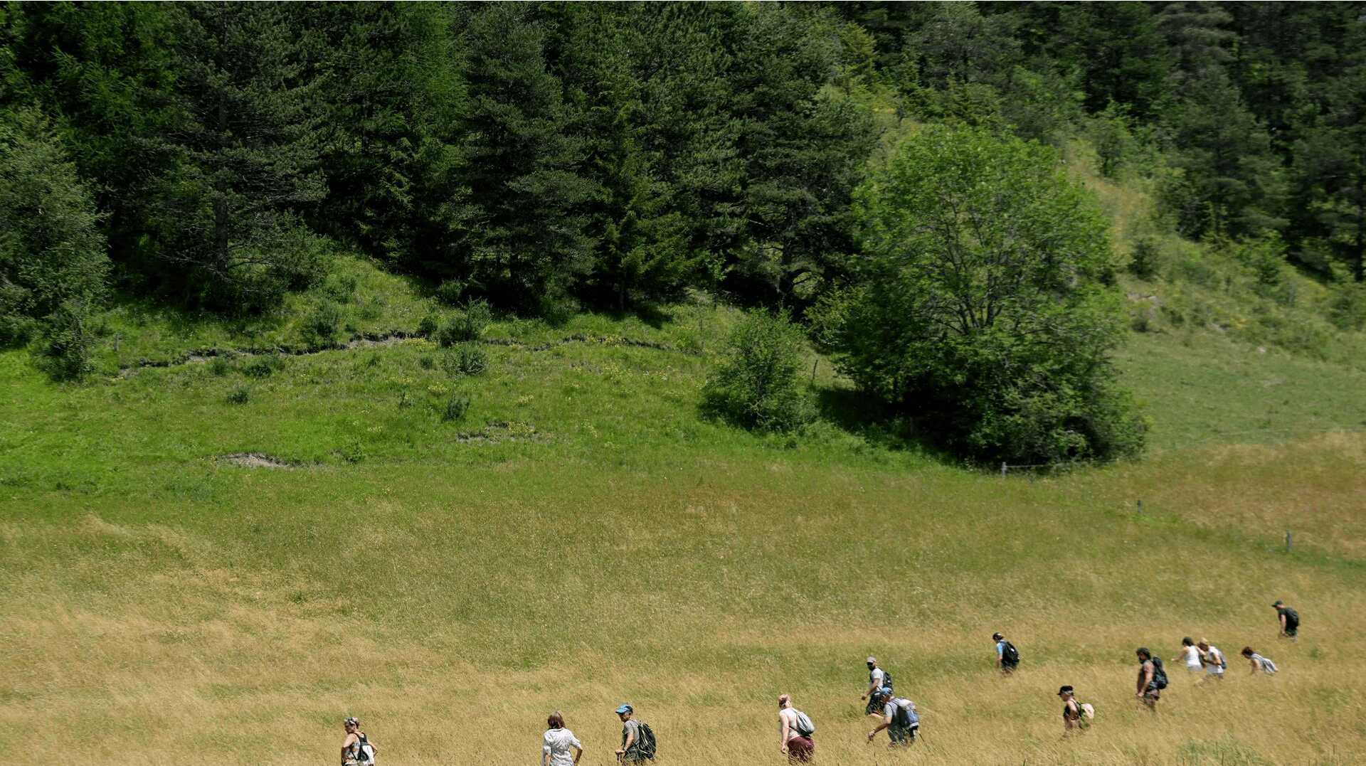 Mange frivillige deltager i eftersøgningen af lille Emile.