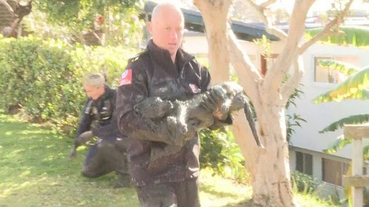 Kvindes Jack Russell terrier var fyldt med mudder og blev hurtigt kørt til dyrlægen.