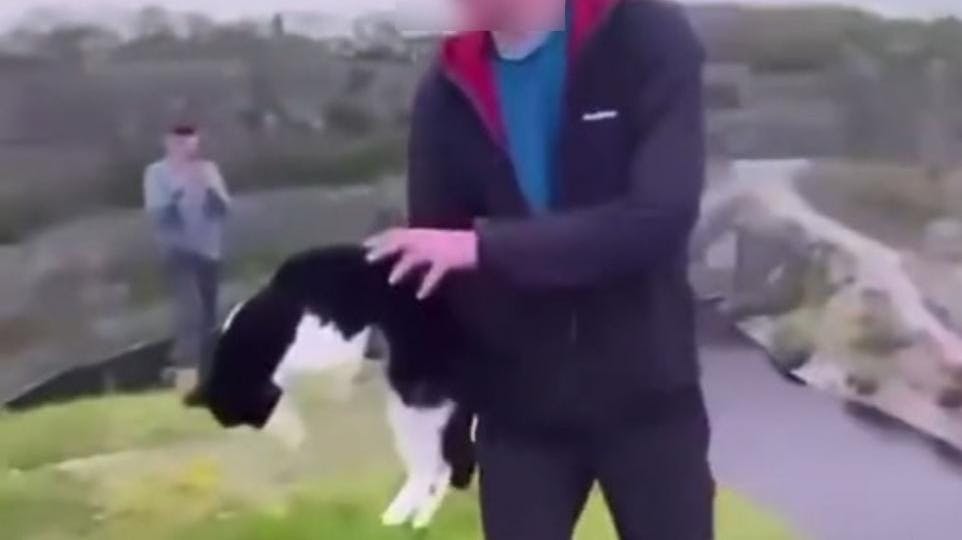 Videoen på Twitter har fået mange til at rase