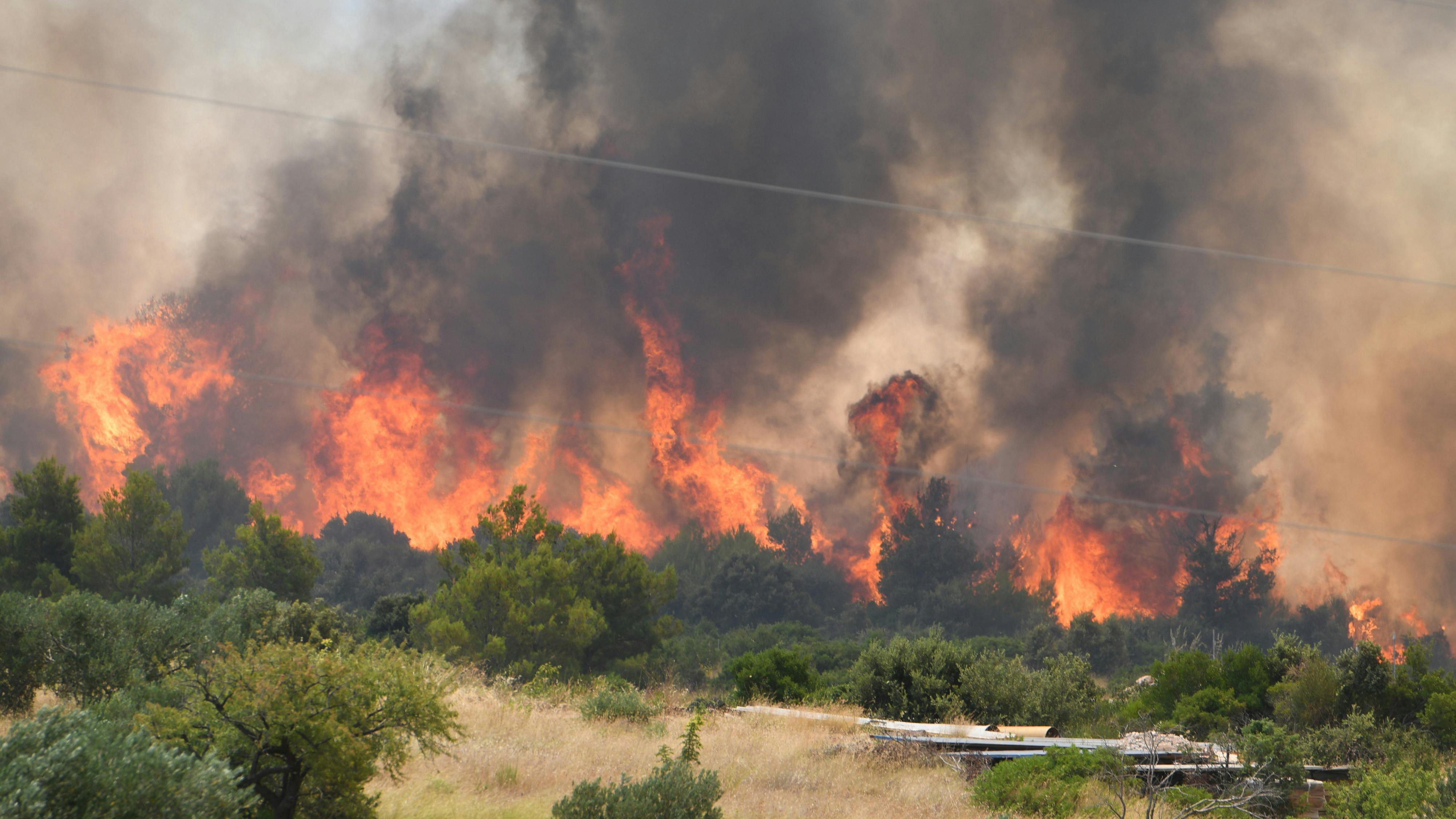 A major fire broke out in Grebastica village in Sibenik, Croatia on July 13, 2023. 79 firefighters with 28 fire trucks, Sibenik Intervention Fire Brigade, three Canadair CL-415 firefighting aircraft, two Air Tractor firefighting aircraft are participating in the extinguishing. Photo: Hrvoje Jelavic/PIXSELL