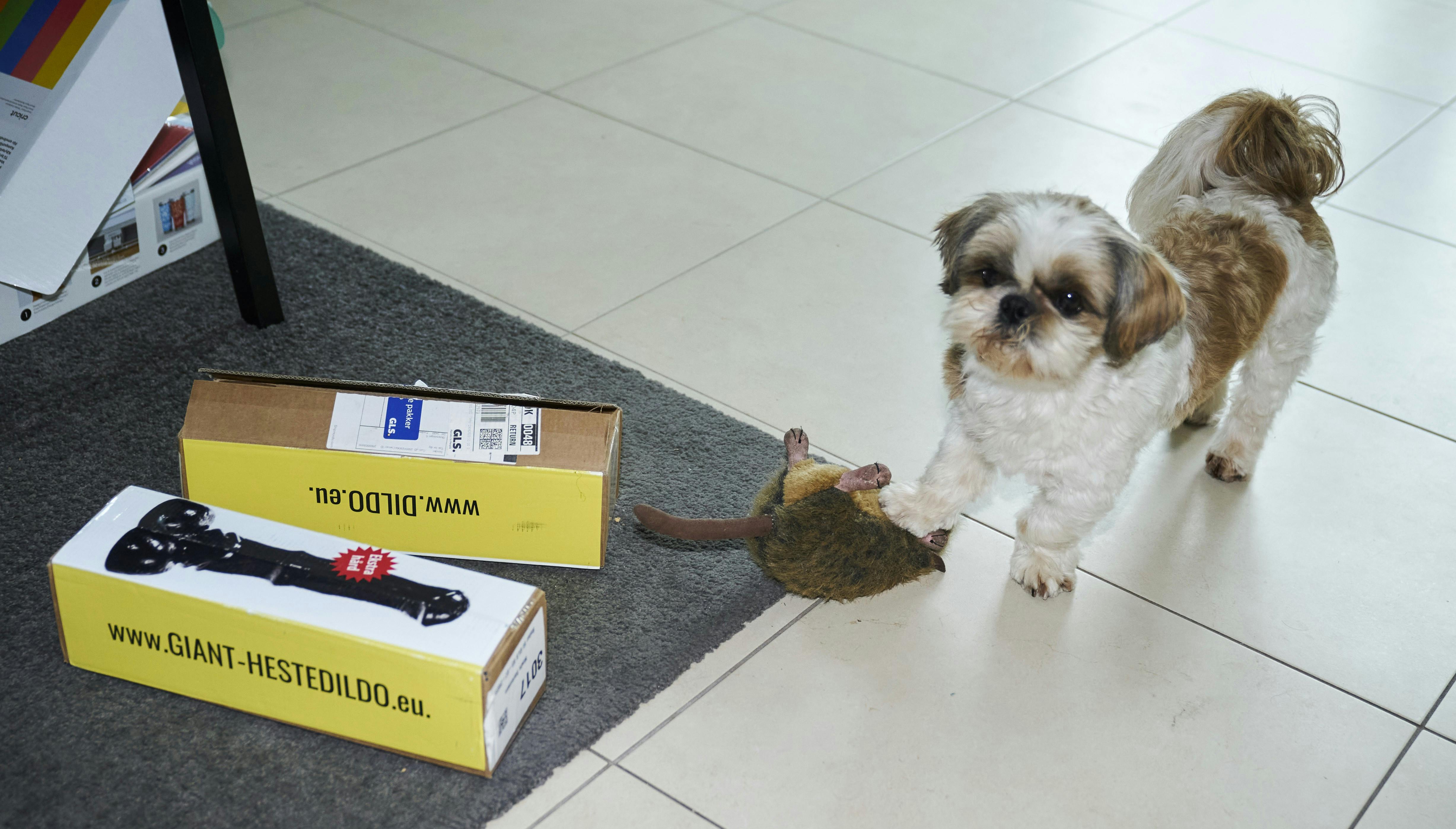 Under corona stiftede Uffe Holm virksomheden Gak og Løjer.: - Det er en webshop, og alt vi sender ud ligner sexlegetøj. Vi får meget retur, fordi mange modtager det fra en kammerat – og når de så skal hente det, vil de ikke modtage det alligevel, griner Uffe Holm – her repræsenteret af hunden Charlie.