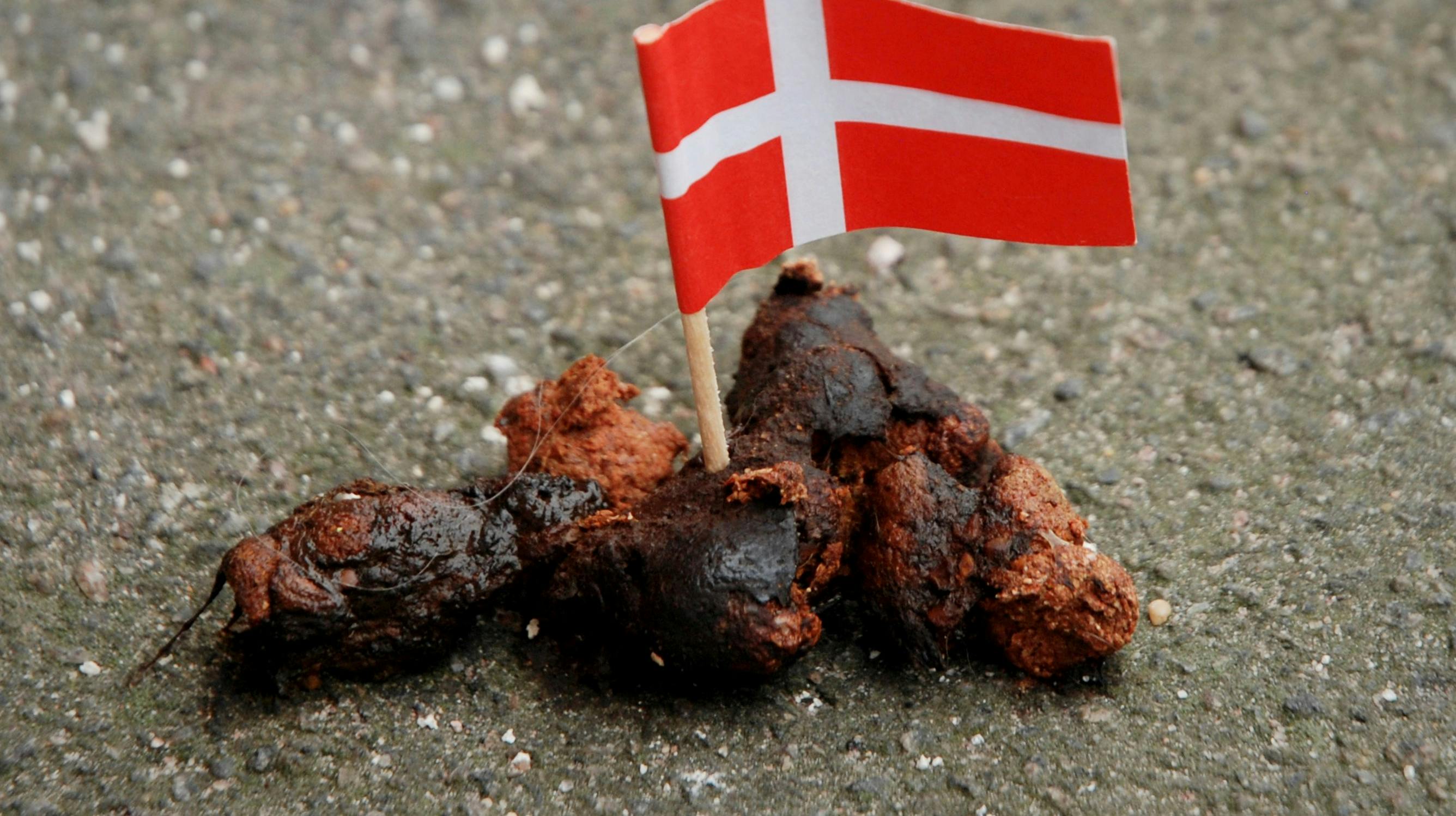 Herhjemme sætter vi flag i pølserne. I Frankrig vil man dna-teste dem. 