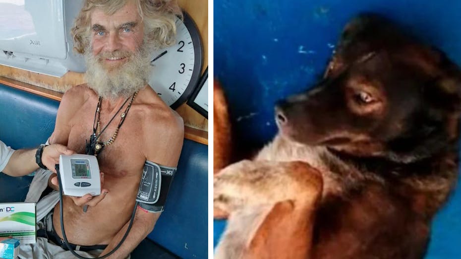 Timothy Shaddock har efterladt hunden i Mexico, mens han selv er på vej hjem til sin familie i Sidney.