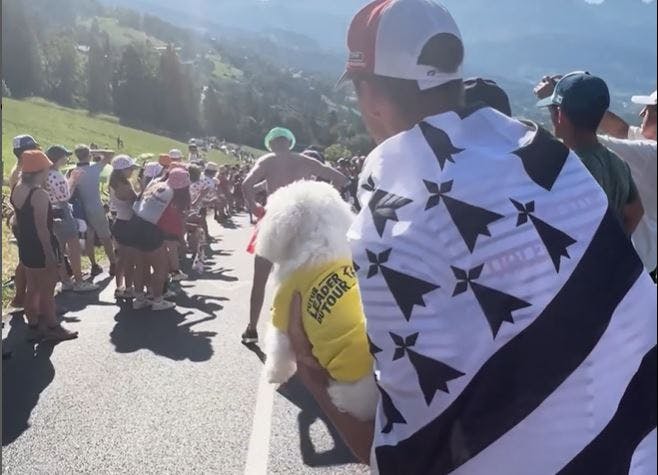 Hunden Perle stod klar til at heppe på Valentin Madouas på 18. etape af Tour de France.&nbsp;