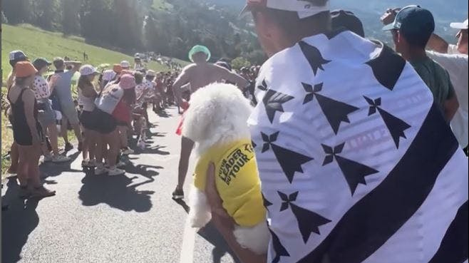 Hunden Perle stod klar til at heppe på Valentin Madouas på 18. etape af Tour de France. 