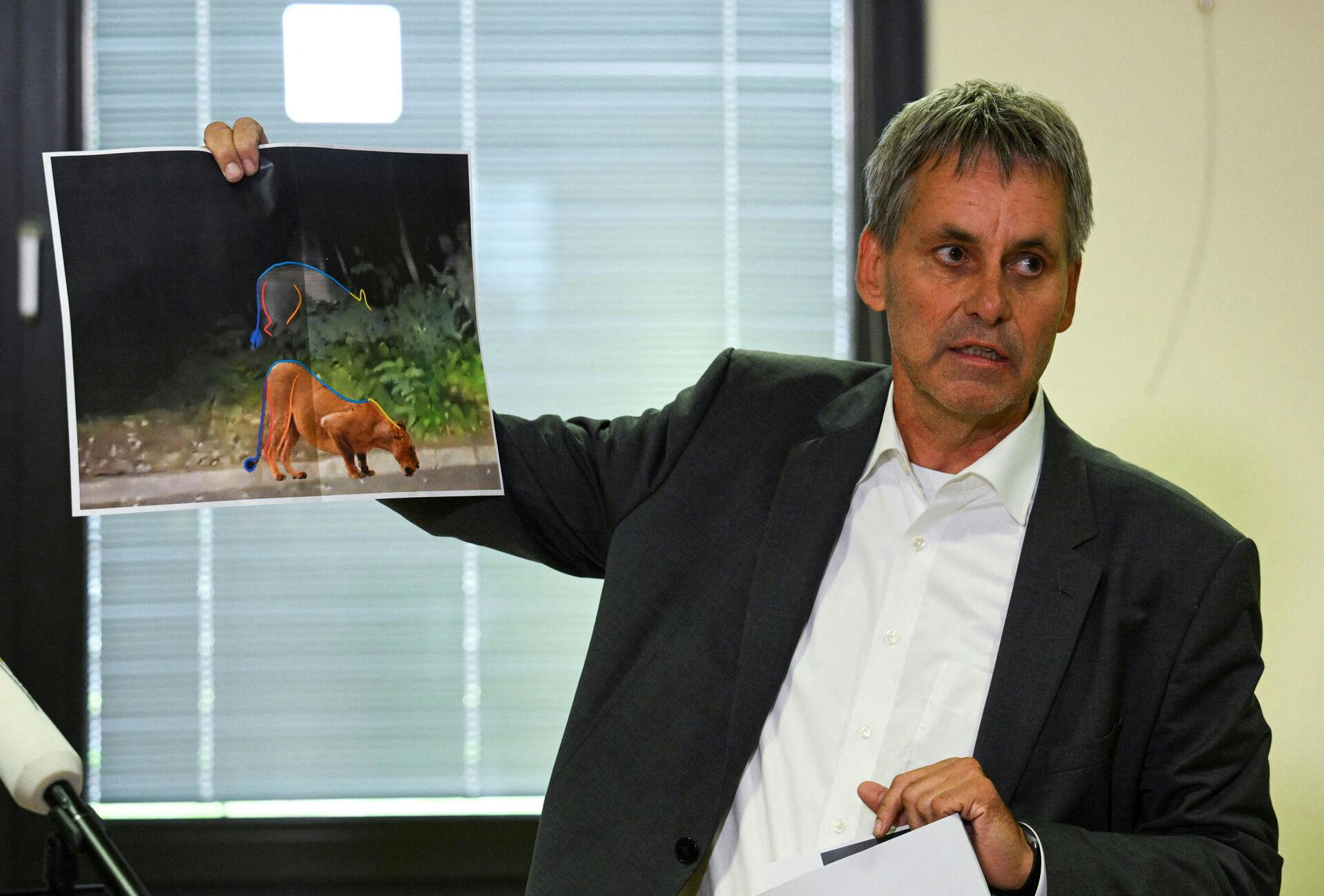 Michael Grubert, Mayor of Kleinmachnow, holds a picture which shows that suspected animal on the loose may not be a lion, according to experts, in Kleinmachnow, Germany July 21, 2023. REUTERS/Annegret Hilse