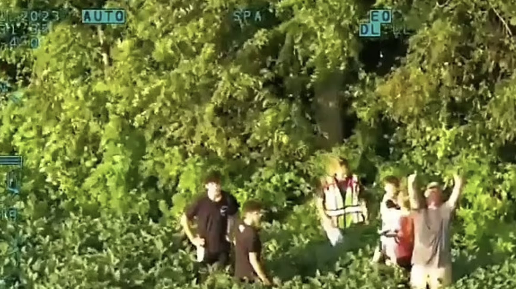 Her bliver den lille dreng fundet af sin familie