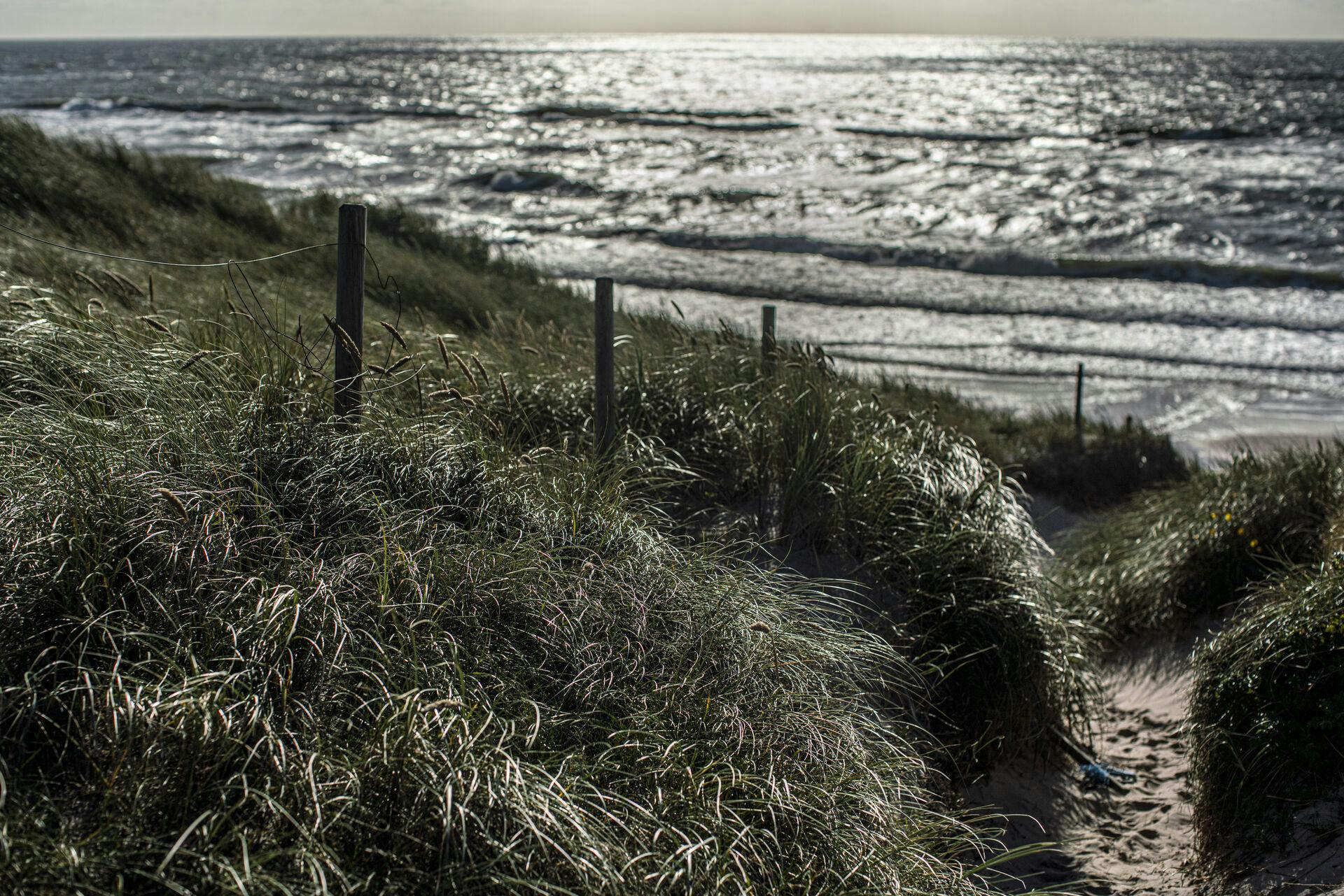 Badestranden Bådbyggeriet i Dyreborg lukker - billedet er ikke derfra.