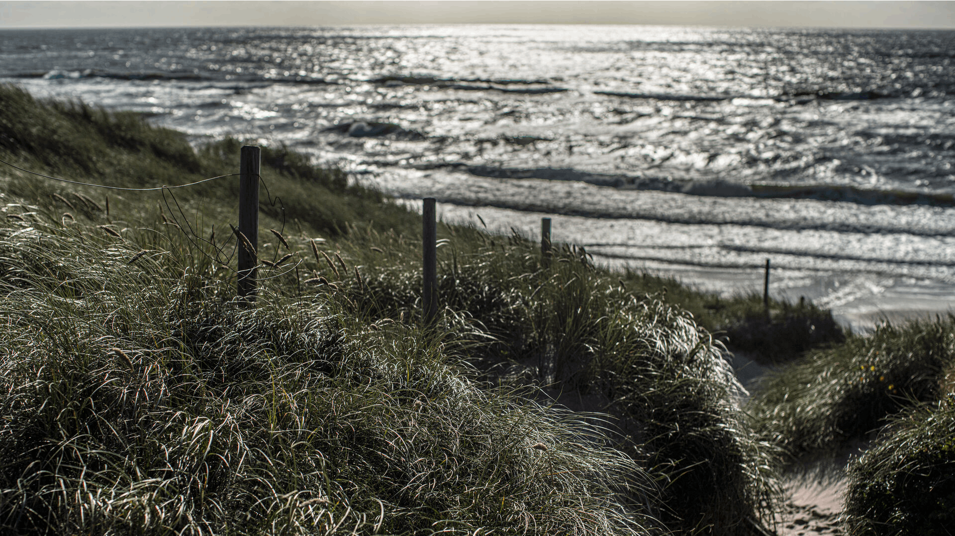 Badestranden Bådbyggeriet i Dyreborg lukker - billedet er ikke derfra.
