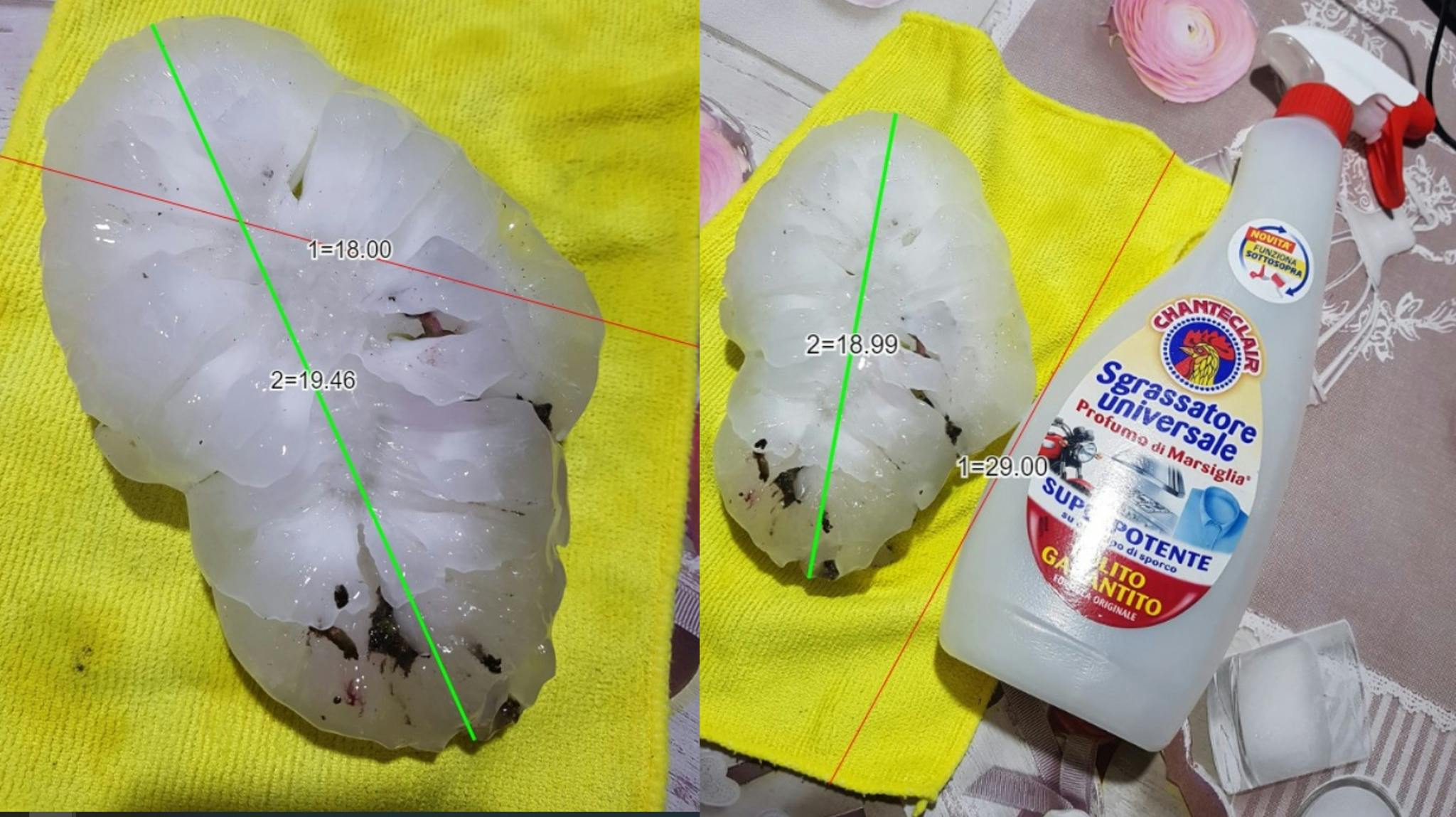 Hele 19 centimeter i diameter måler det rekordstore hagl.