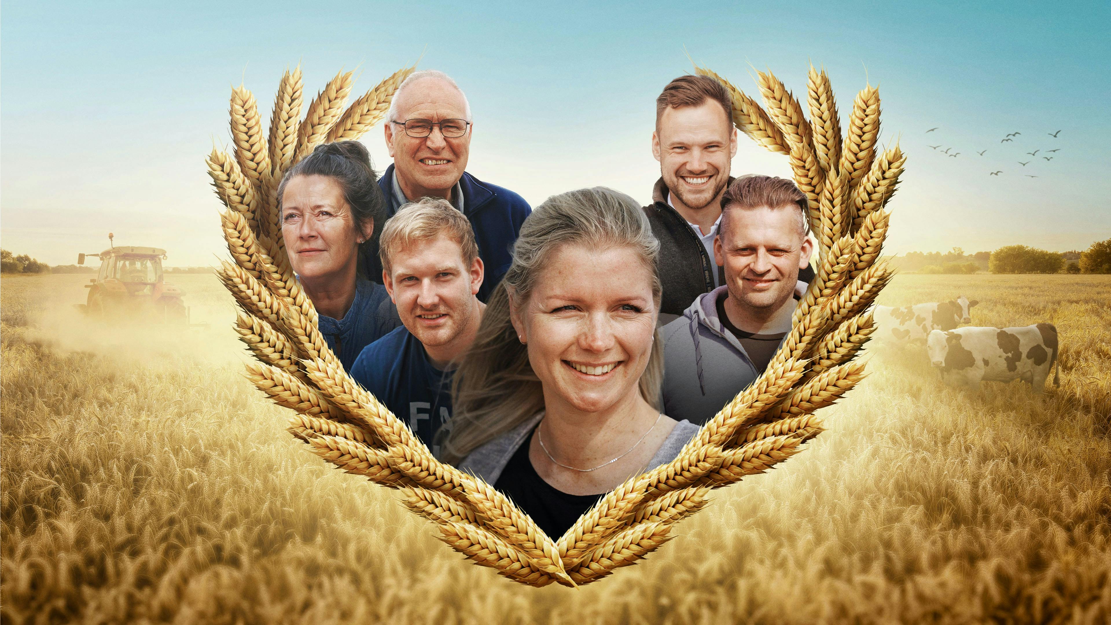 Her er de seks nye landmand, der er klar til at finde kærligheden.&nbsp;