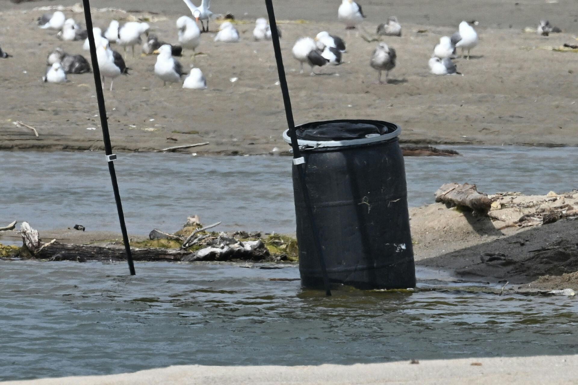 Mandag morgen blev der gjort et gruopvækkende fund, da en livredder fandt et lig i den her 200 liters tønde på stranden i Malibu.