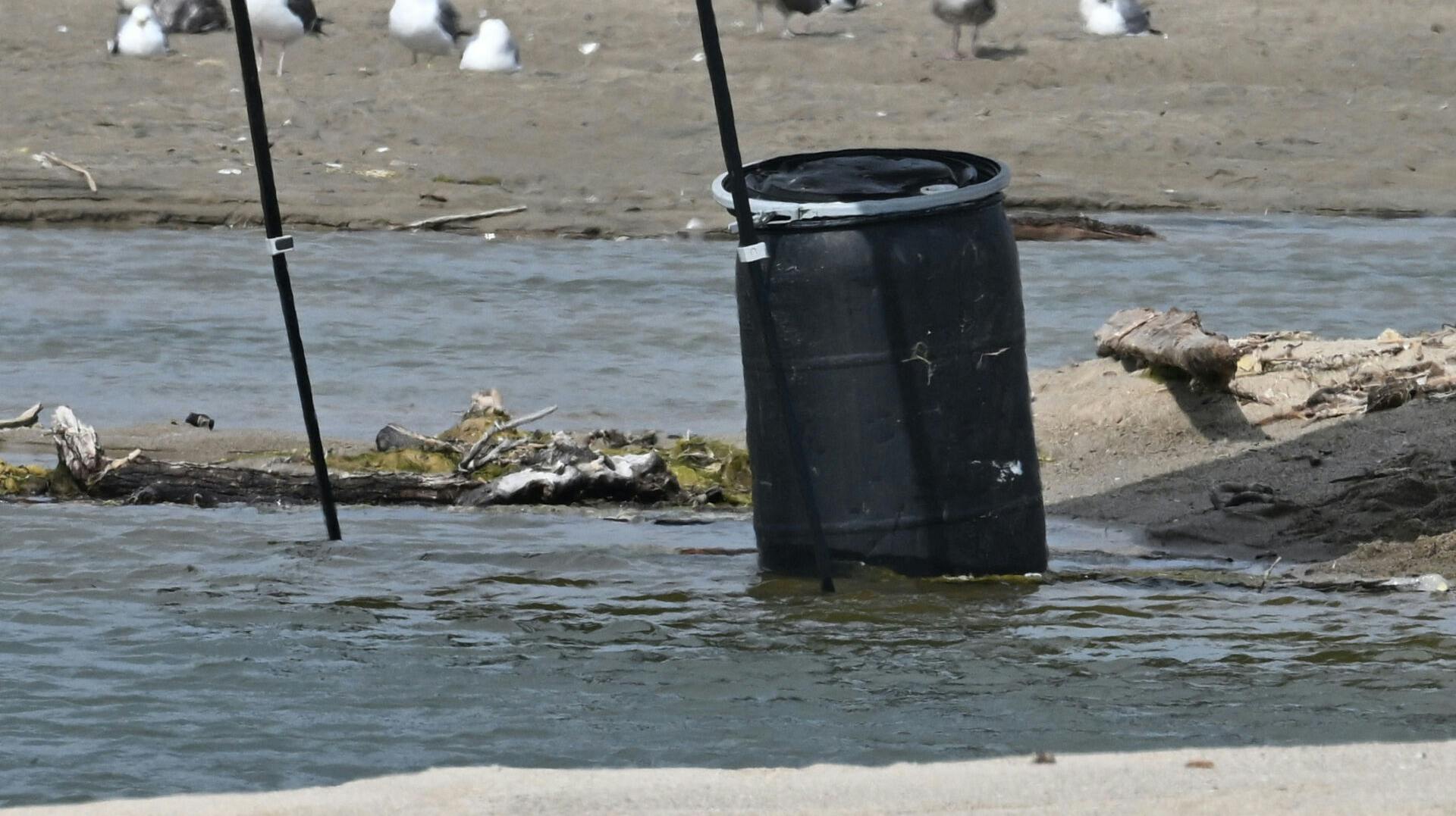 Mandag morgen blev der gjort et gruopvækkende fund, da en livredder fandt et lig i den her 200 liters tønde på stranden i Malibu.