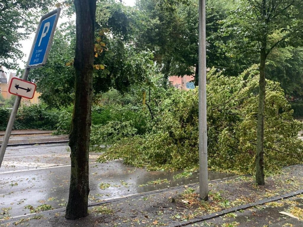 https://imgix.seoghoer.dk/2023-08-07/img_1238-1024x768.jpeg