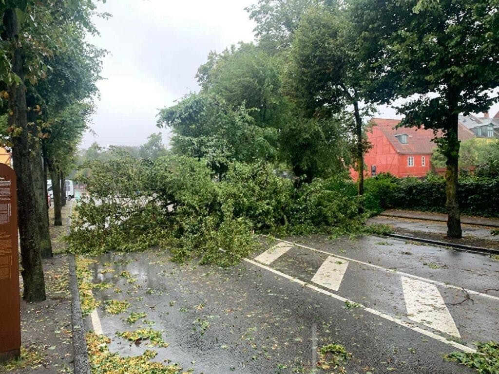 Et træ er mandag morgen væltet ud over vejbanen på IL Tvedesvej i Helsingør. Træet ligger og spærrer vejbanen i begge retninger.